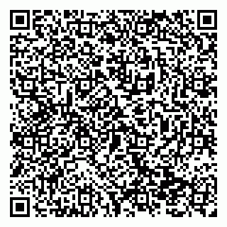 vCard 79138299535