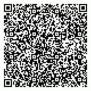 vCard 79138299540