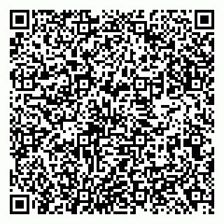 vCard 79138299541