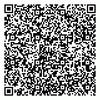 vCard 79138299580