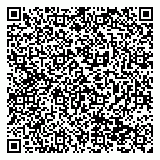 vCard 79138299589
