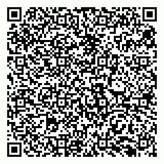 vCard 79138299599