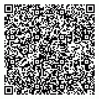 vCard 79138299602