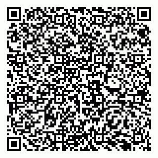 vCard 79138299603
