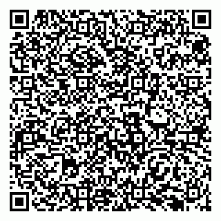 vCard 79138299608