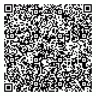 vCard 79138299643