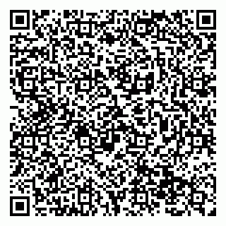 vCard 79138299648