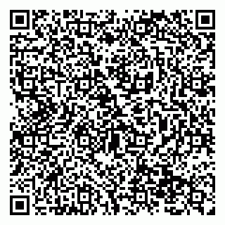 vCard 79138299649