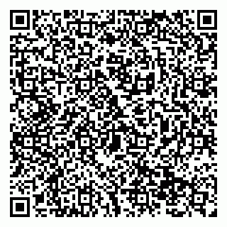 vCard 79138299653