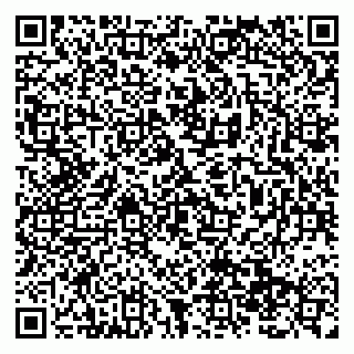 vCard 79138299674