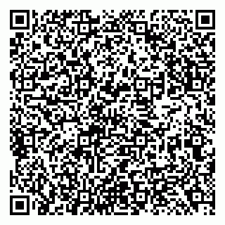 vCard 79138299678