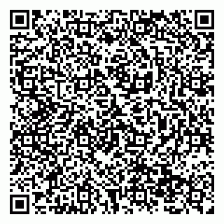 vCard 79138299681