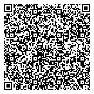 vCard 79138299684