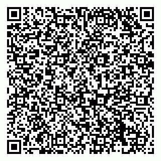 vCard 79138299685
