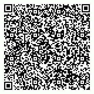 vCard 79138299693