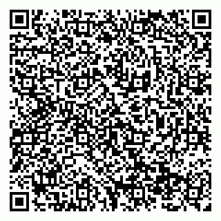 vCard 79138299694
