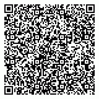 vCard 79138299697