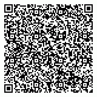 vCard 79138299698