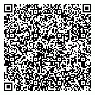 vCard 79138299702