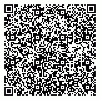 vCard 79138299703