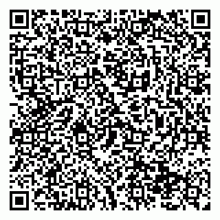 vCard 79138299704