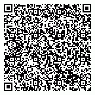 vCard 79138299706