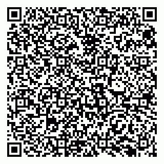 vCard 79138299708