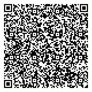 vCard 79138299727