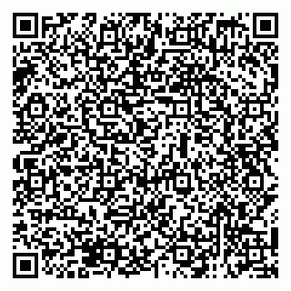 vCard 79138299745