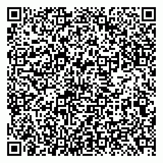 vCard 79138299763