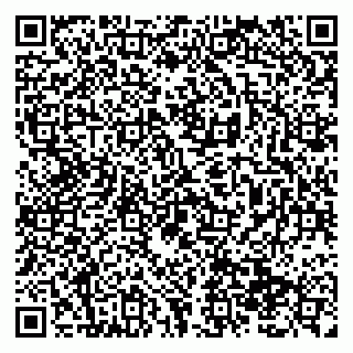 vCard 79138299771
