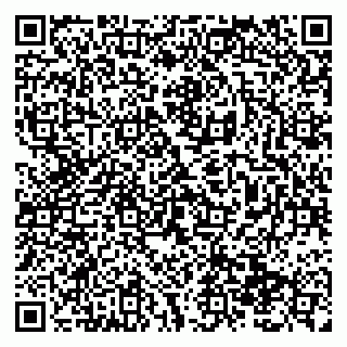 vCard 79138299772