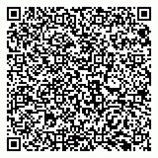 vCard 79138299773