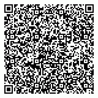 vCard 79138299774