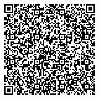 vCard 79138299776