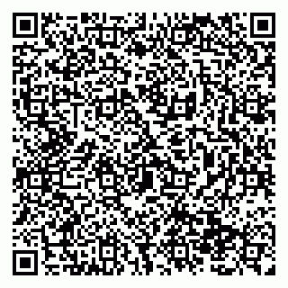 vCard 79138299779