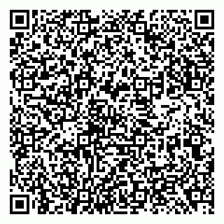 vCard 79138299782