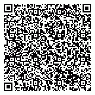 vCard 79138299787
