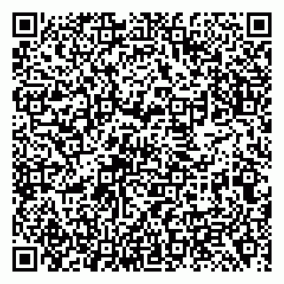 vCard 79138299793