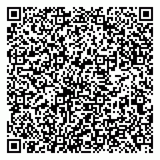 vCard 79138299794