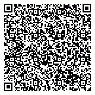 vCard 79138299797
