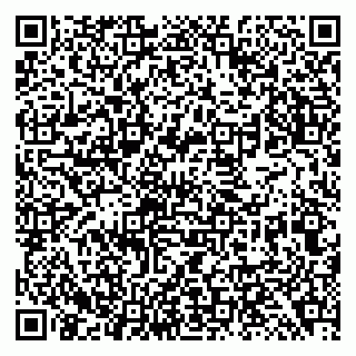 vCard 79138299802
