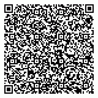 vCard 79138299805