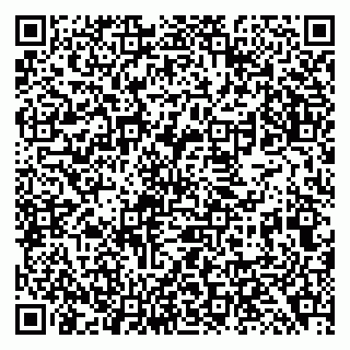 vCard 79138299807