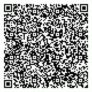 vCard 79138299808