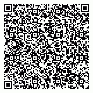 vCard 79138299840