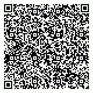 vCard 79138299882