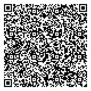 vCard 79138299883