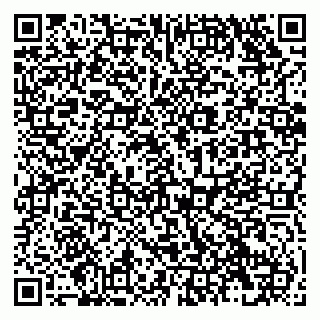 vCard 79138299884