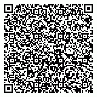 vCard 79138299886